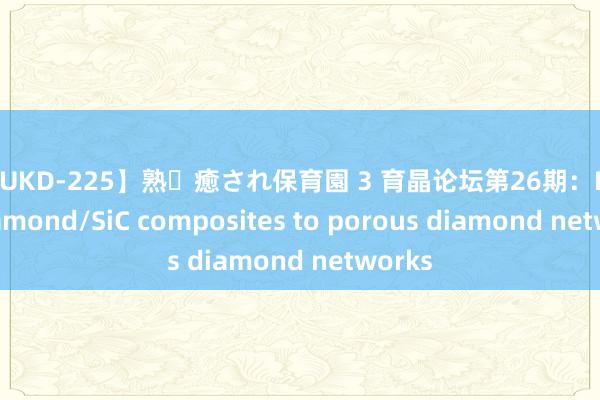 【JUKD-225】熟・癒され保育園 3 育晶论坛第26期：From diamond/SiC composites to porous diamond networks