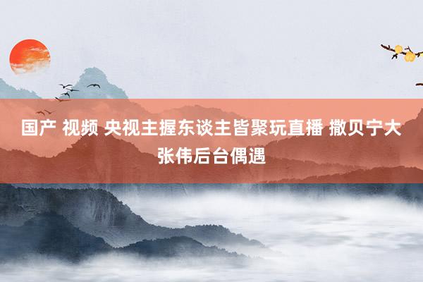 国产 视频 央视主握东谈主皆聚玩直播 撒贝宁大张伟后台偶遇