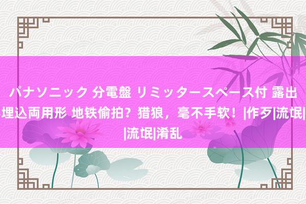 パナソニック 分電盤 リミッタースペース付 露出・半埋込両用形 地铁偷拍？猎狼，毫不手软！|作歹|流氓|淆乱
