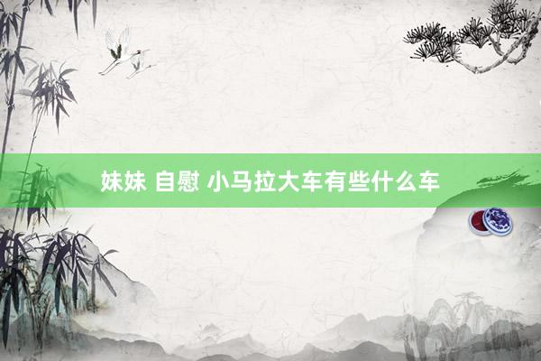 妹妹 自慰 小马拉大车有些什么车