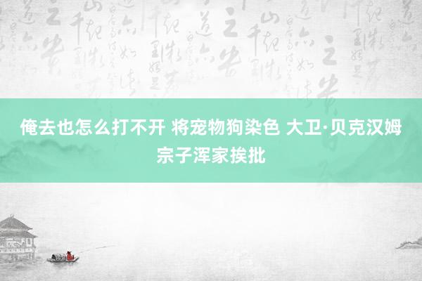 俺去也怎么打不开 将宠物狗染色 大卫·贝克汉姆宗子浑家挨批