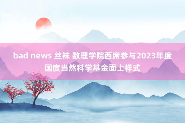 bad news 丝袜 数理学院西席参与2023年度国度当然科学基金面上样式