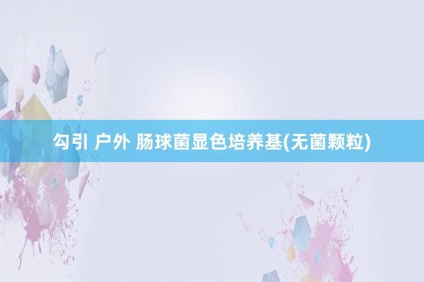 勾引 户外 肠球菌显色培养基(无菌颗粒)
