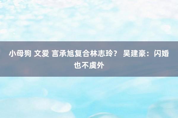 小母狗 文爱 言承旭复合林志玲？ 吴建豪：闪婚也不虞外
