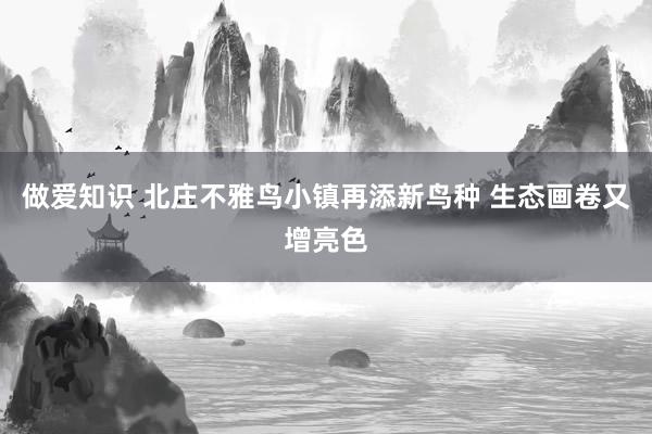 做爱知识 北庄不雅鸟小镇再添新鸟种 生态画卷又增亮色